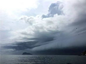 风浪中的回航，当准确天气预报守护渔获与生命