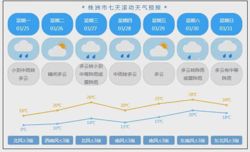 株洲市未来15天天气预报详解，气温波动与出行建议