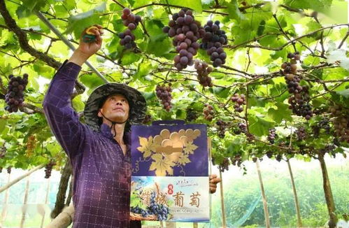 广东明天降温，一场久违的秋意正在派送