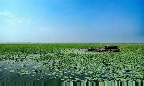 洪湖天气，水乡的呼吸与时光