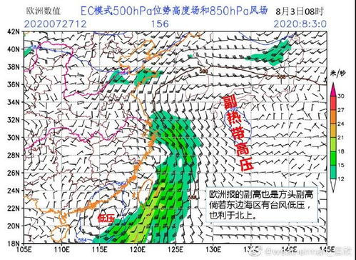 厦门天气预报，一座城市的温柔与暴烈